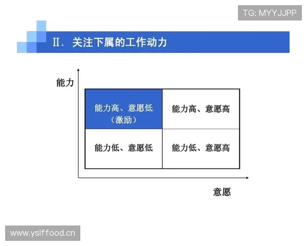 《奥布拉克领导力评价》助力企业成长与创新，揭示领导力新标准分析