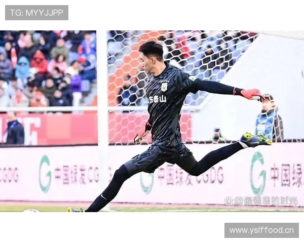 中超重点赛事近期表现稳健,竞争格局持续提升 中超重点赛事近期表现稳健,竞争格局持续提升